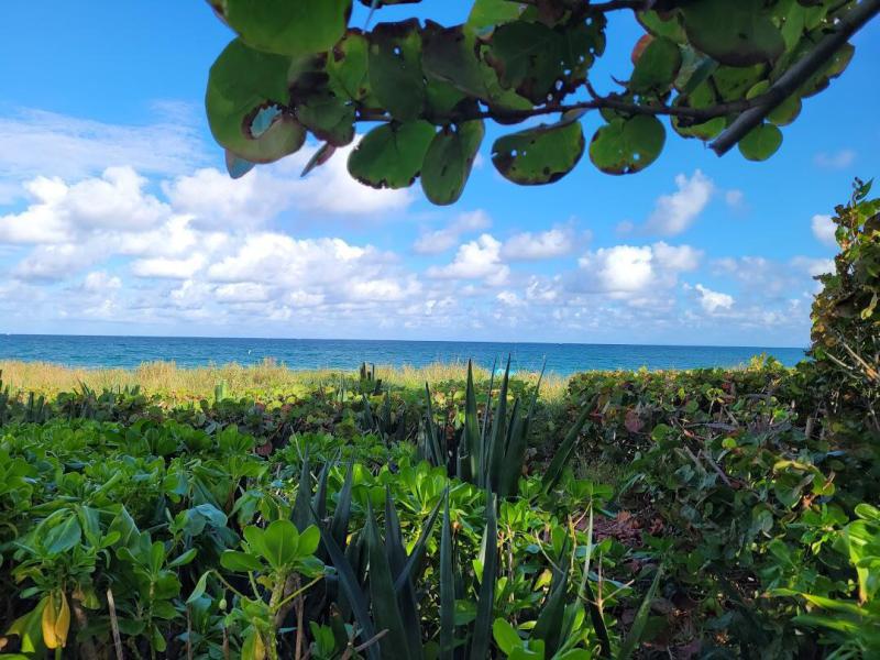  Single Family Homes Photo 76:  Deerfield Beach,  FL 33441