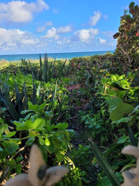  Single Family Homes Photo 77:  Deerfield Beach,  FL 33441