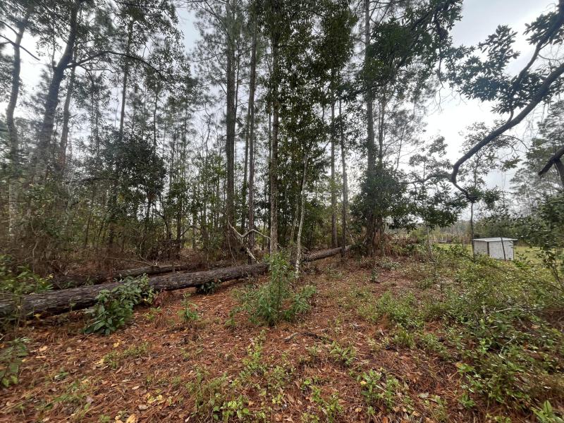 Duplex, Triplex and Fourplex Images