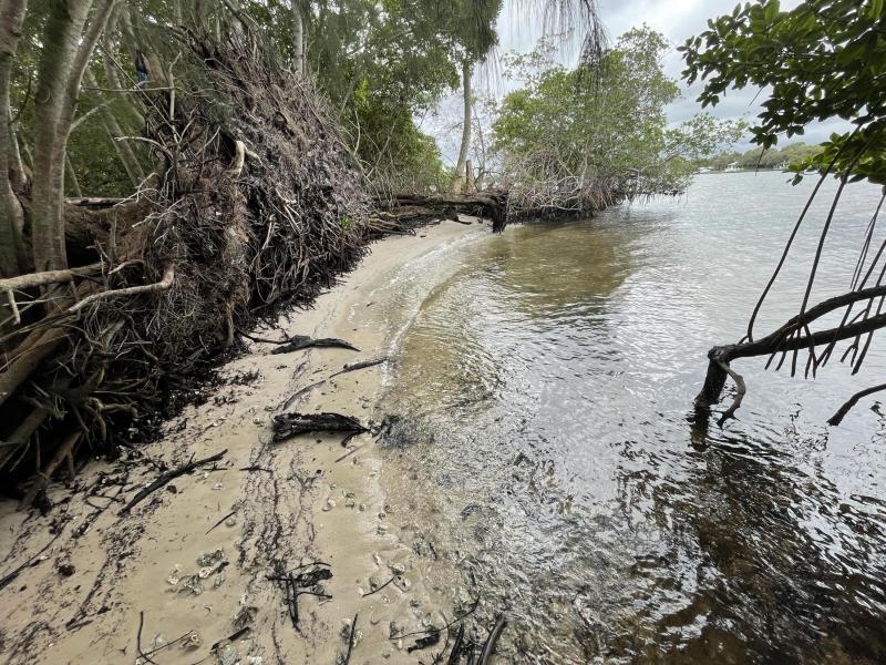 Duplex, Triplex and Fourplex Images