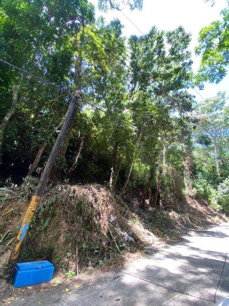  Commercial & Industrial Land Images 