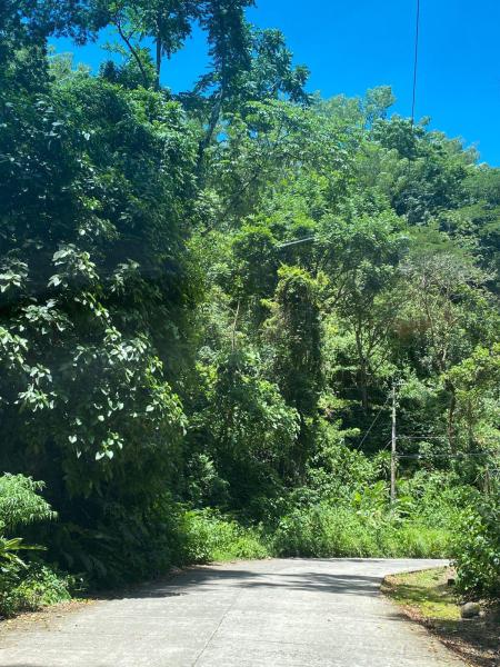  Commercial & Industrial Land Images 