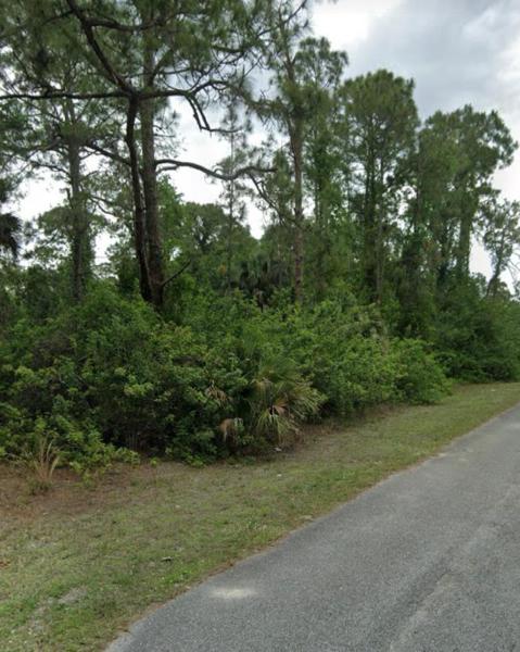 Duplex, Triplex and Fourplex Images