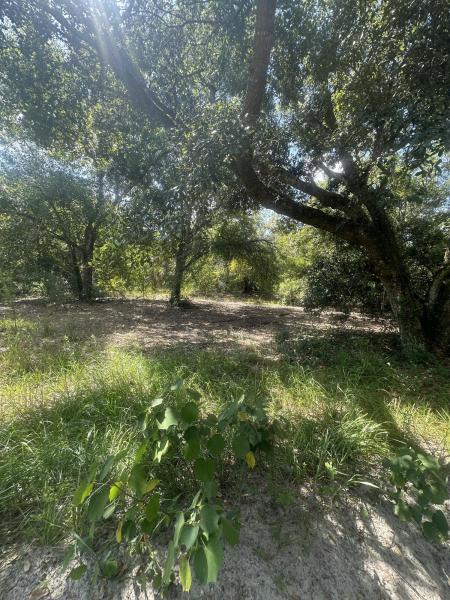  Commercial & Industrial Land Images 