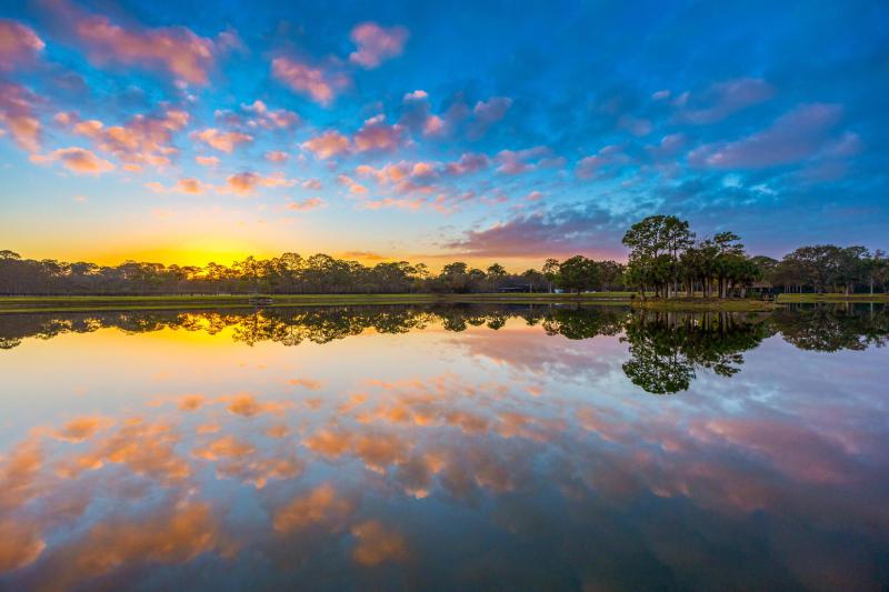  Single Family Homes Photo 16:  Jupiter,  FL 33478