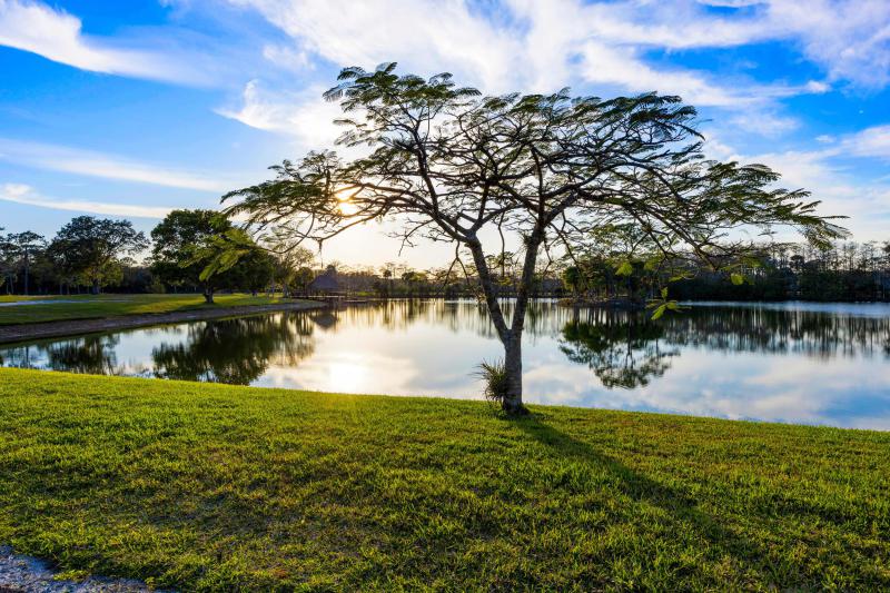  Single Family Homes Photo 19:  Jupiter,  FL 33478