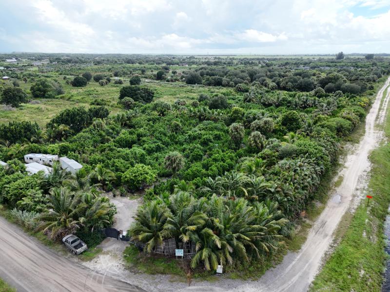 Business Opportunities Photos