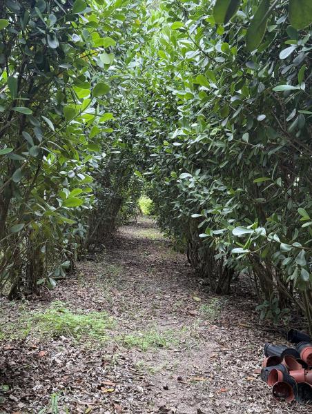 Business Opportunities Photos