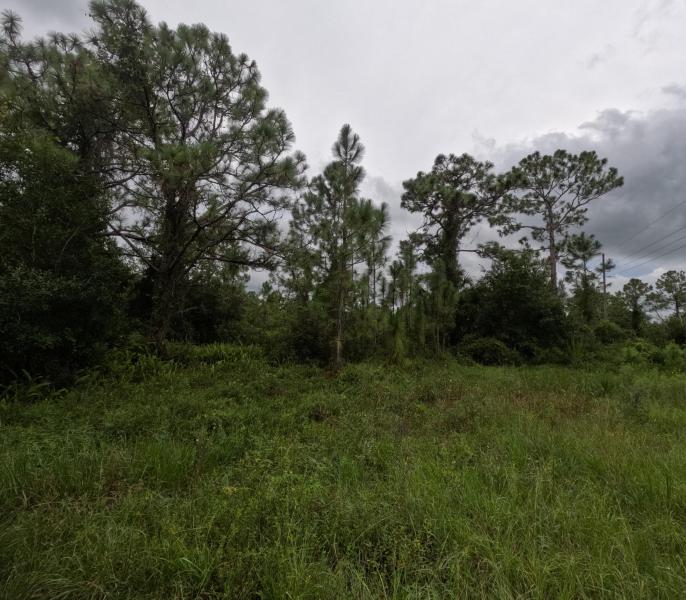  Commercial & Industrial Land Images 