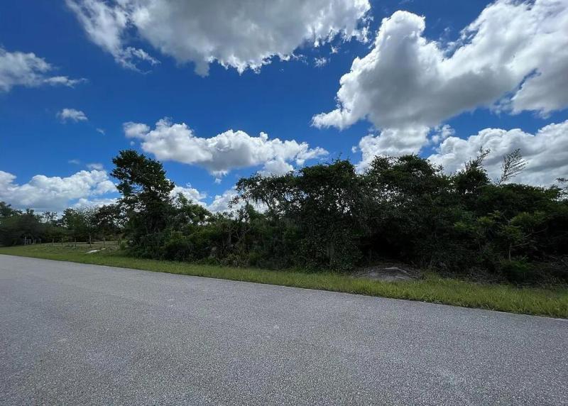 Duplex, Triplex and Fourplex Images