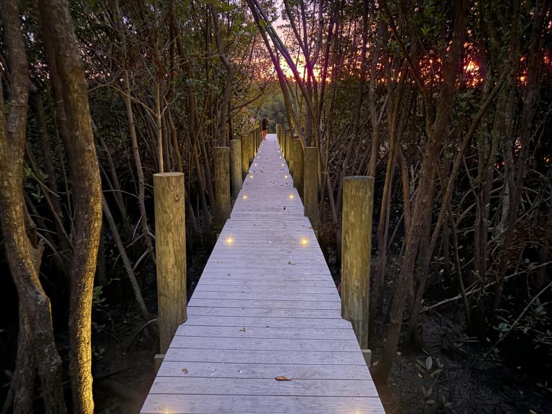 Duplex, Triplex and Fourplex Images