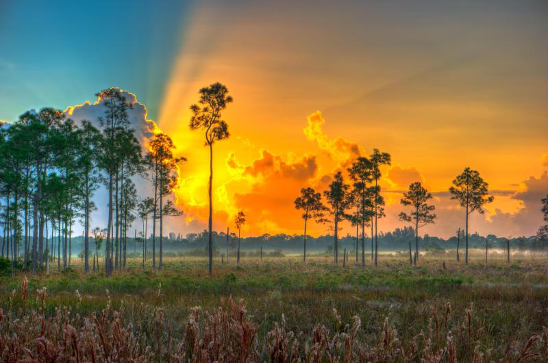 Duplex, Triplex and Fourplex Images