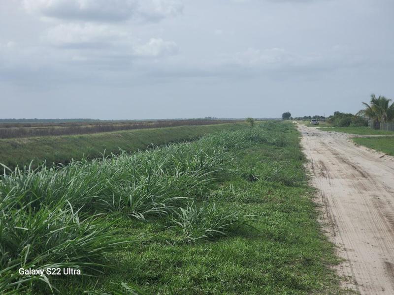  Commercial & Industrial Land Images 