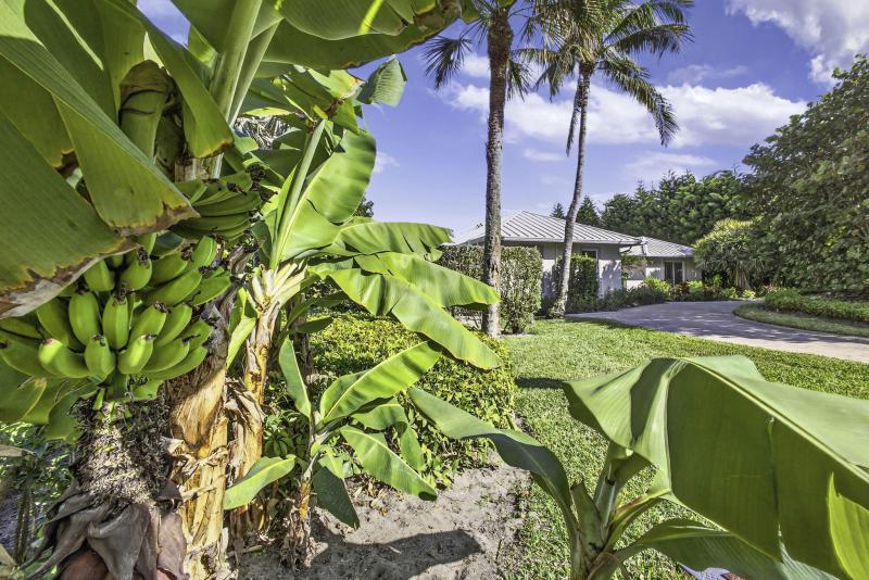  Single Family Homes Photo 17:  Jupiter Island,  FL 33455