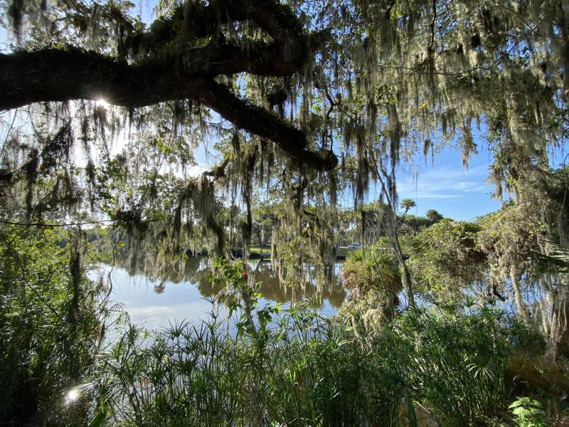  Commercial & Industrial Land Images 