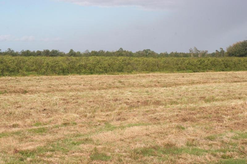  Commercial & Industrial Land Images 