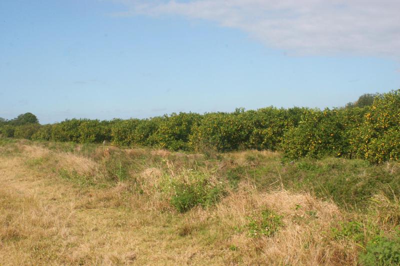  Commercial & Industrial Land Images 