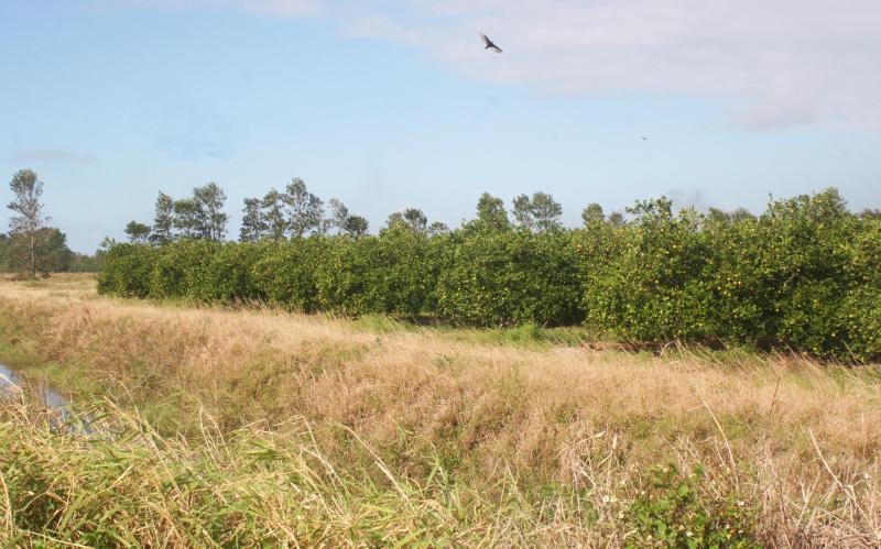  Commercial & Industrial Land Images 