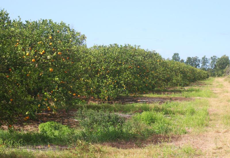  Commercial & Industrial Land Images 