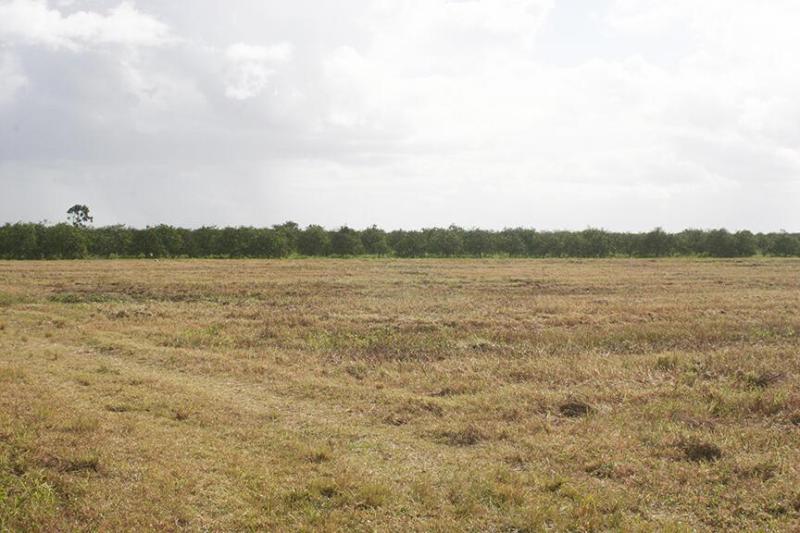  Commercial & Industrial Land Images 