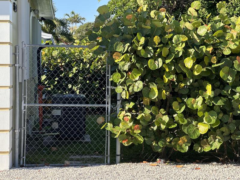 Duplex, Triplex and Fourplex Images