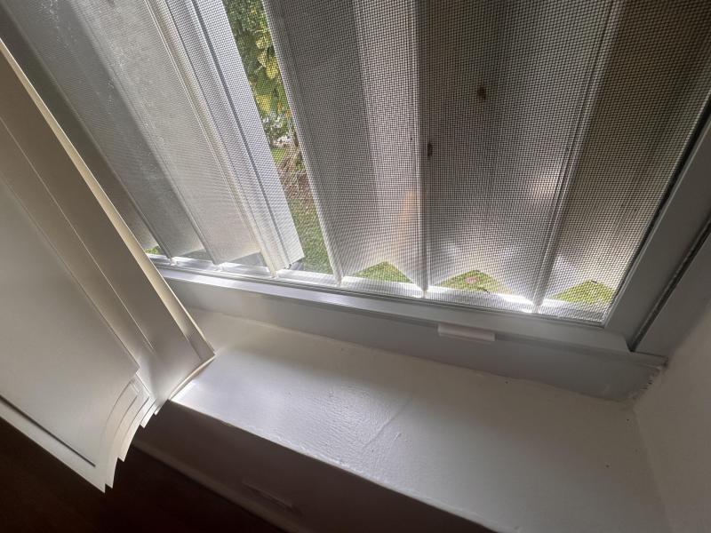 Duplex, Triplex and Fourplex Images