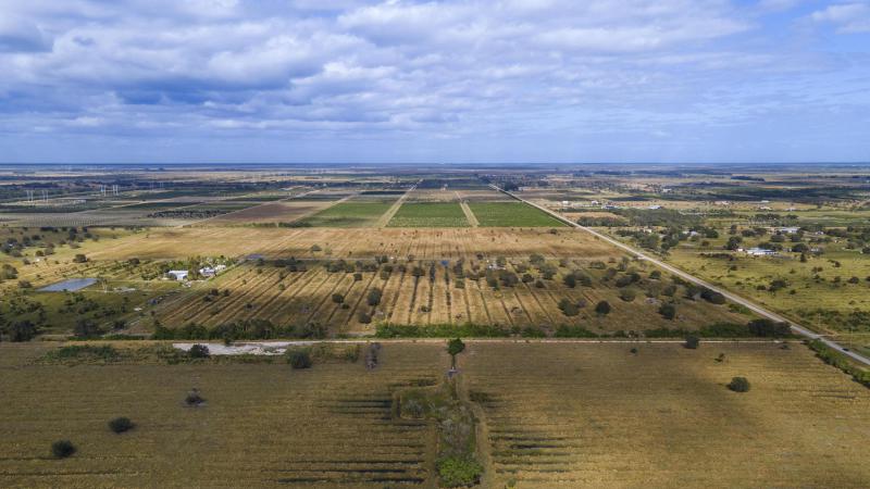 Duplex, Triplex and Fourplex Images