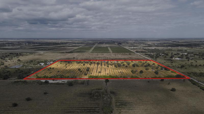 Duplex, Triplex and Fourplex Images