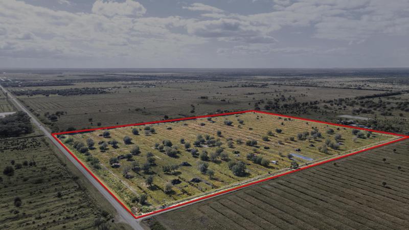 Duplex, Triplex and Fourplex Images