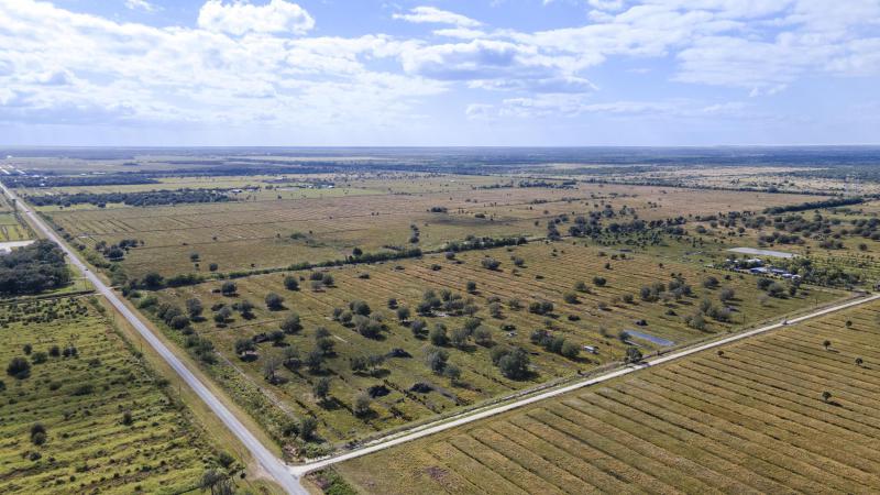 Duplex, Triplex and Fourplex Images