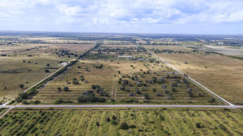 Duplex, Triplex and Fourplex Images