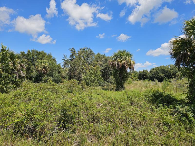  Commercial & Industrial Land Images 