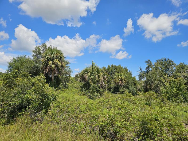  Commercial & Industrial Land Images 