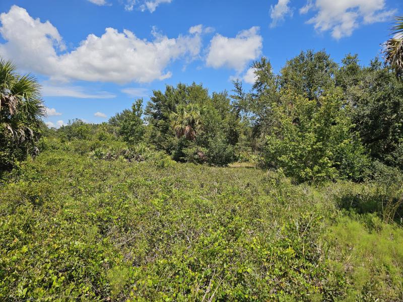  Commercial & Industrial Land Images 