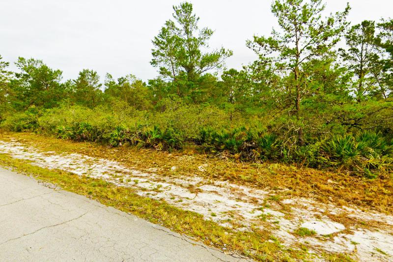  Commercial & Industrial Land Images 