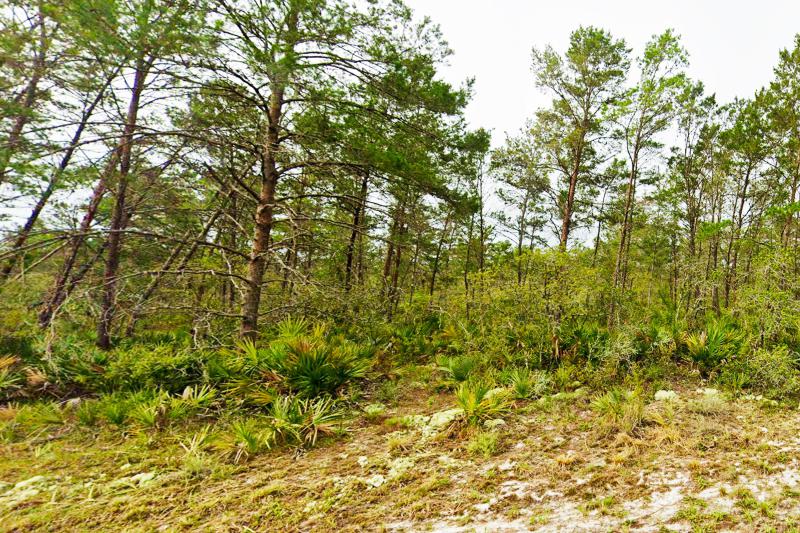  Commercial & Industrial Land Images 