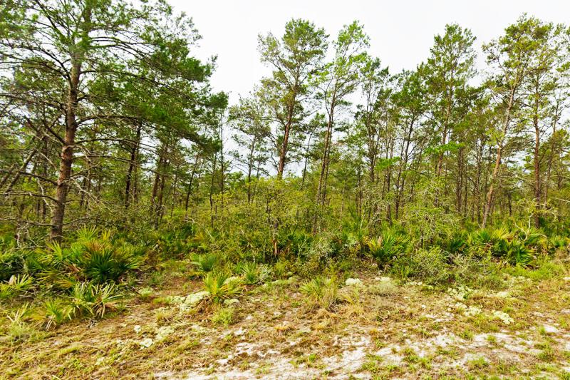  Commercial & Industrial Land Images 