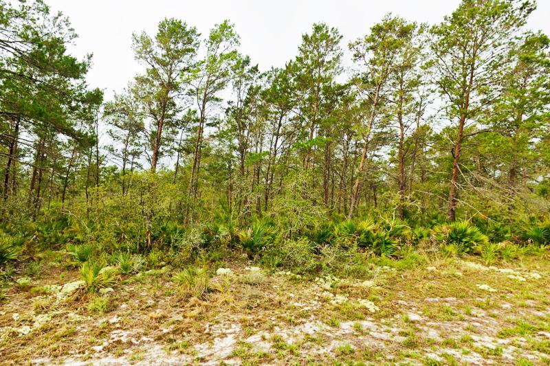  Commercial & Industrial Land Images 