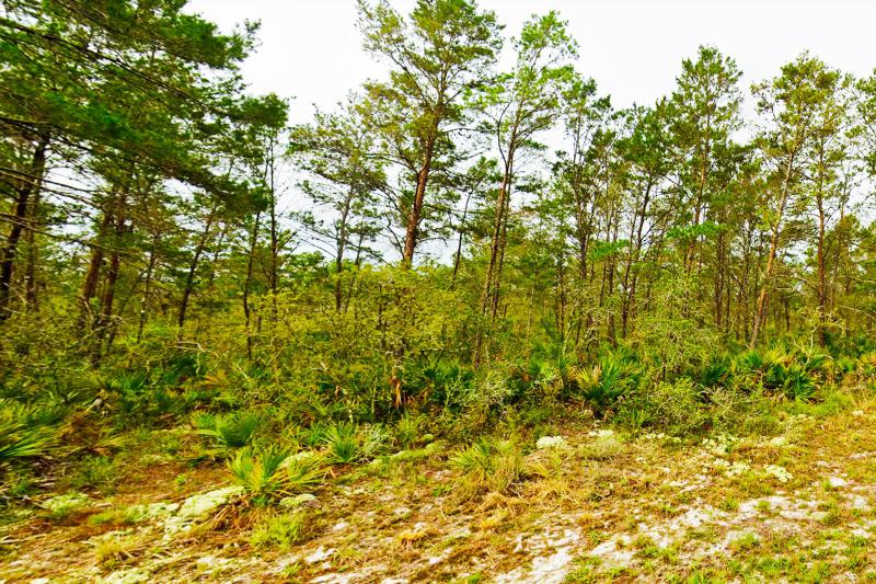  Commercial & Industrial Land Images 