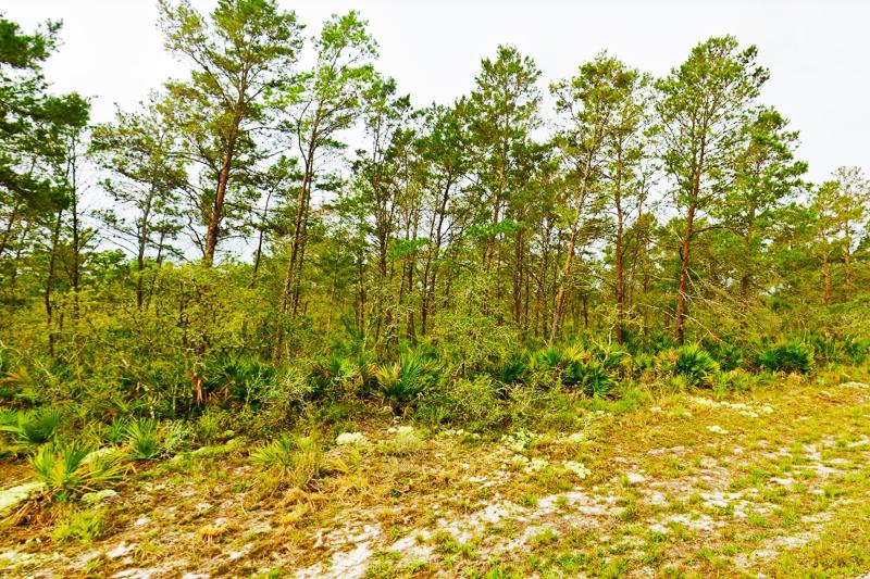  Commercial & Industrial Land Images 