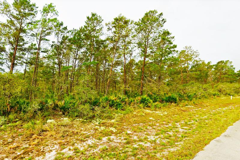  Commercial & Industrial Land Images 