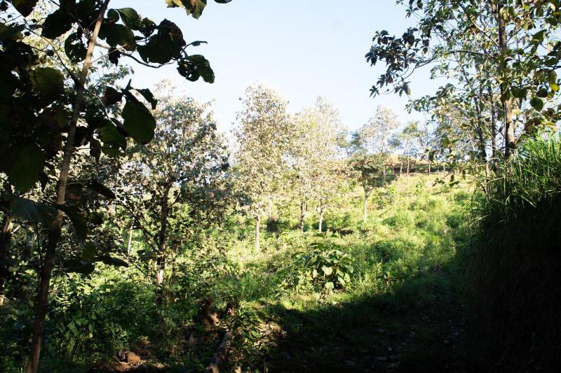  Commercial & Industrial Land Images 