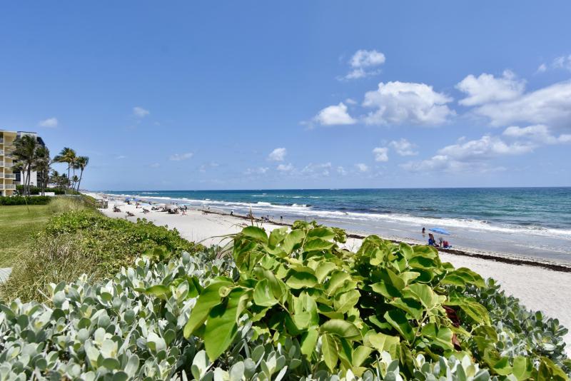 First Photo for Home For Sale at  Hillsboro Beach, FL. 33062