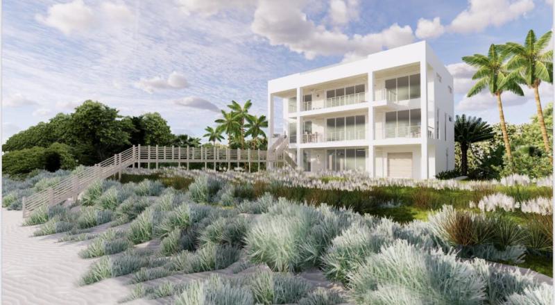 Duplex, Triplex and Fourplex Images