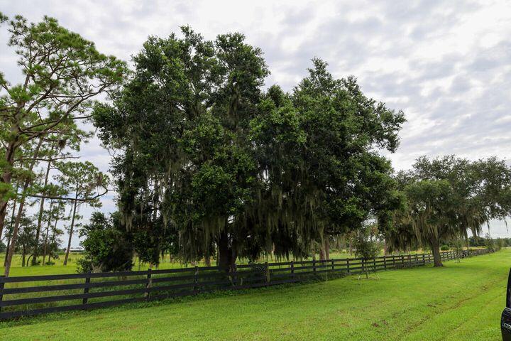  Commercial & Industrial Land Images 