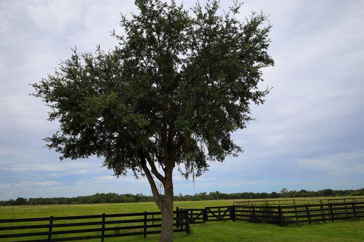  Commercial & Industrial Land Images 