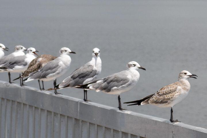  Commercial & Industrial Land Images 