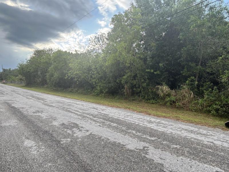 Duplex, Triplex and Fourplex Images