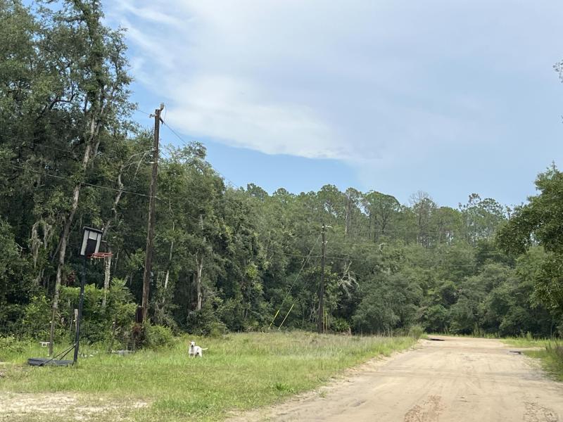 Duplex, Triplex and Fourplex Images