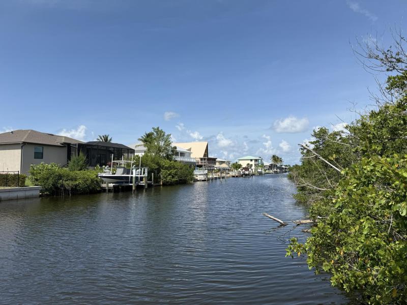 Duplex, Triplex and Fourplex Images